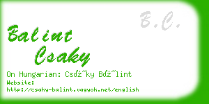 balint csaky business card